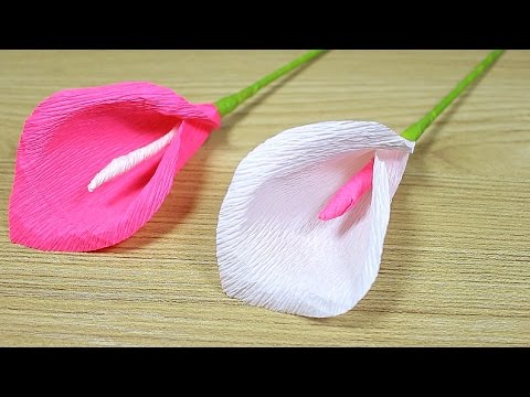 Floristry Crepe Paper Roll for Flower Making Crafts - 25x250cm