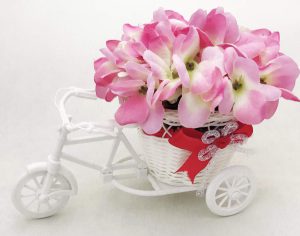 Tricycle Flower Basket
