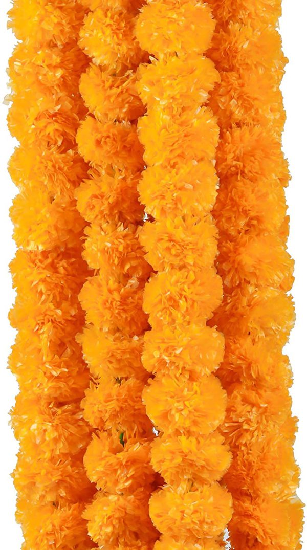 orange marigold ladi