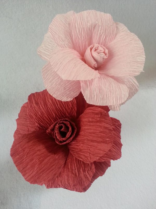 Floristry Crepe Paper Roll for Flower Making Crafts - 25x250cm